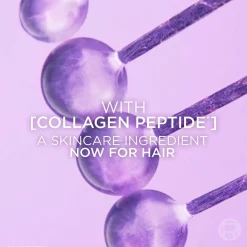 Collagen Peptide + Lifter Big Fresh Volumizing Dry Shampoo for Oily, Flat Hair